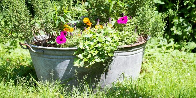 10 Möglichkeiten, Ihren Garten Nachhaltiger Und Umweltfreundlicher Zu Gestalten